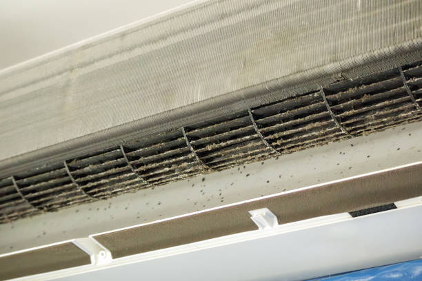 Best Affordable Air Duct Cleaning  in Louisvle, IL