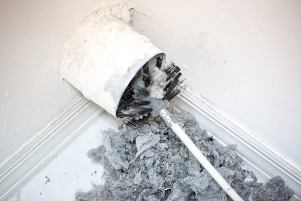 Best HVAC Duct Inspection Services  in Louisvle, IL